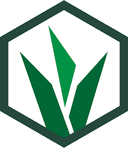 Grassroot
