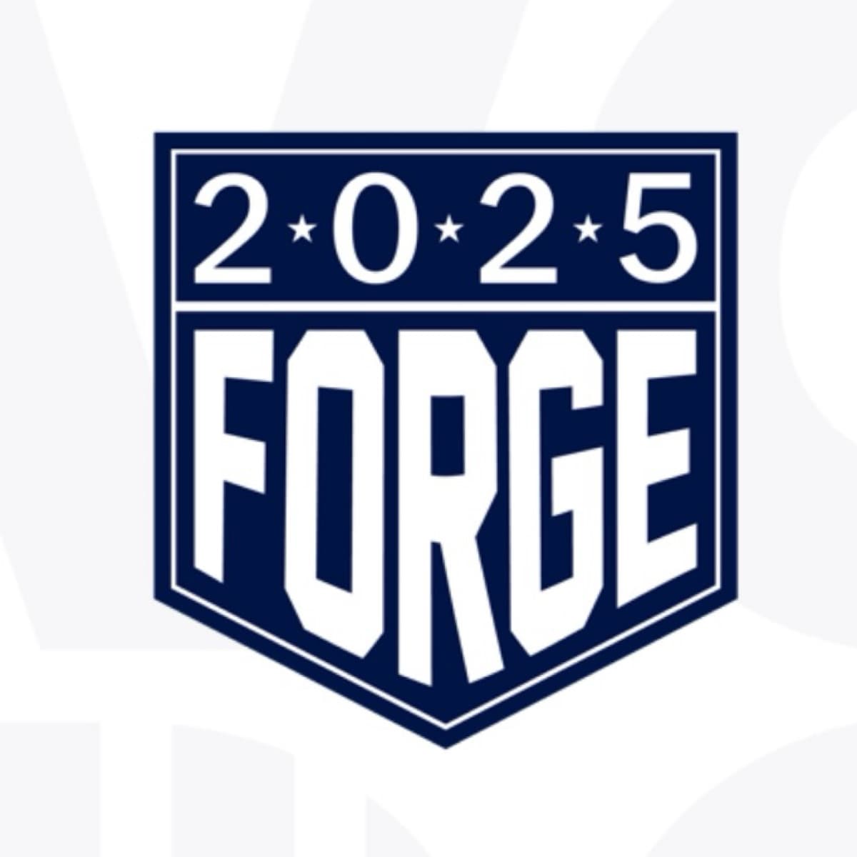 2025 Forge Award