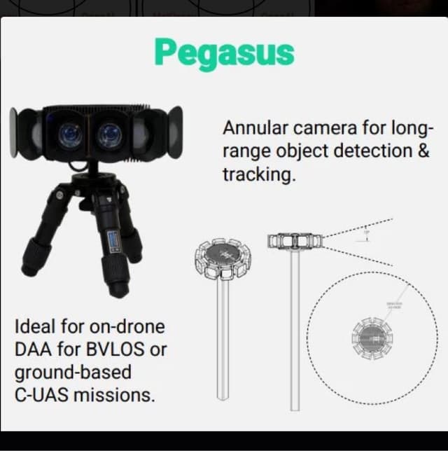 Our Pegasus Model